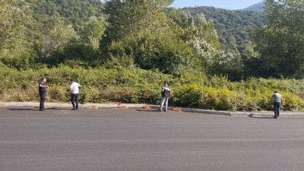 Qəbələdə “Şəhərsalma və Memarlıq ili” çərcivəsində növbəti ümumrayon iməciliyi keçirilmişdir