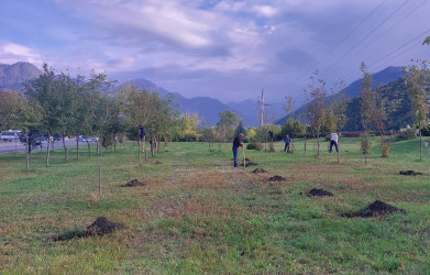 Qəbələ rayonunda “Yaşıl Dünya Naminə Həmrəylik ili” ilə əlaqədar ağacəkmə aksiyası keçirilmişdir