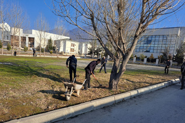 Qəbələ rayonu ərazisində “Konstitutsiya və Suverenlik ili” çərçivəsində ümumrayon iməciliyi keçirilmişdir