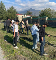 Yaşıl dünya naminə həmrəylik ili çərçivəsində ağacəkmə aksiyası keçirilib