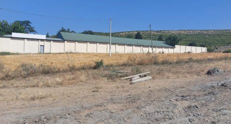 Qəbələdə keçirilən növbəti monirtorinqlər zamanı qanunsuz torpaq zəbtlərinin qarşısı alınmışdır