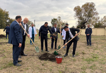 Qəbələ RMX PHŞ-də “8 Noyabr - Zəfər Günü”nə həsr olunmuş ağacəkmə aksiyası keçirilmişdir