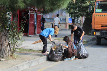 Qəbələ şəhərində “Yaşıl dünya naminə həmrəylik ili” çərçivəsində "Təmiz Ölkəm" adlı aksiya keçirilmişdir