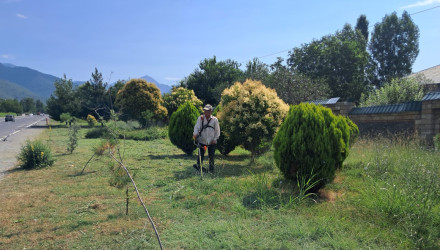 Qəbələdə “Şəhərsalma və Memarlıq ili” çərcivəsində növbəti ümumrayon iməciliyi.