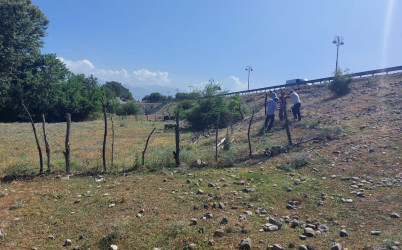 Qəbələdə keçirilən növbəti monirtorinqlər zamanı qanunsuz torpaq zəbtlərinin qarşısı alınmışdır