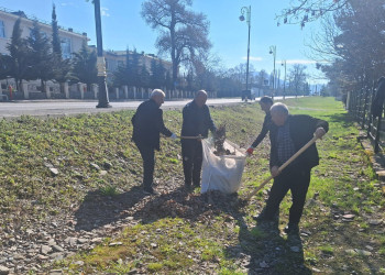 Qəbələ şəhərində “Şəhərsalma və Memarlıq ili” çərçivəsində növbəti  iməcilik keçirilmişdir