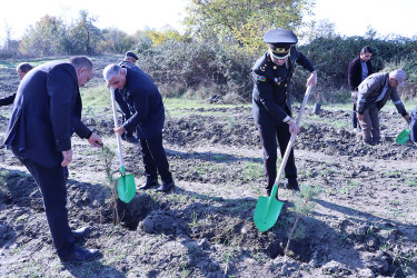 Qəbələdə “8 Noyabr – Zəfər Günü”nə həsr edilmiş ağacəkmə aksiyası keçirilmişdir