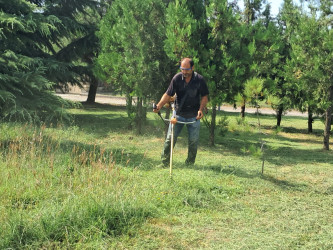 Qəbələdə “Şəhərsalma və Memarlıq ili” çərcivəsində növbəti ümumrayon iməciliyi.