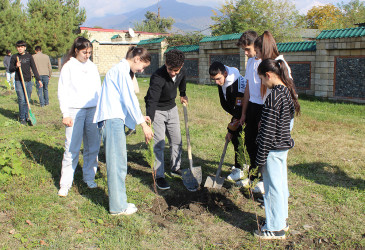 Yaşıl dünya naminə həmrəylik ili çərçivəsində ağacəkmə aksiyası keçirilib