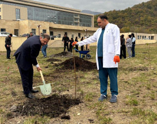 Qəbələ RMX PHŞ-də “8 Noyabr - Zəfər Günü”nə həsr olunmuş ağacəkmə aksiyası keçirilmişdir