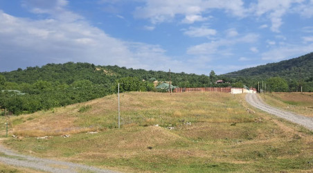 Qəbələdə keçirilən növbəti monirtorinqlər zamanı qanunsuz torpaq zəbtlərinin qarşısı alınmışdır