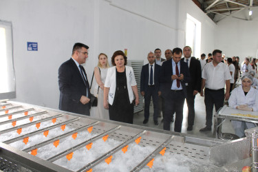 Qəbələ Dövlət Peşə Təhsil Mərkəzində “Açıq Qapı” günü ilə əlaqədar tədbir keçirilib