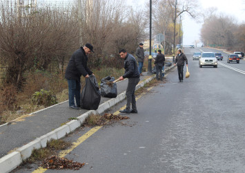 Qəbələ rayonunda “Yaşıl dünya naminə həmrəylik ili” çərcivəsində növbəti dəfə ümumrayon iməciliyi keçirilib