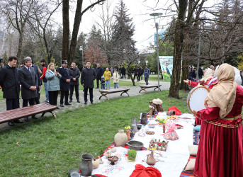 Qəbələdə ənənəvi Novruz şənliyi keçirilmişdir