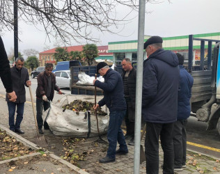 Qəbələ rayonunda “Yaşıl dünya naminə həmrəylik ili” çərcivəsində növbəti dəfə ümumrayon iməciliyi keçirilib