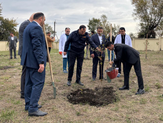 Qəbələ RMX PHŞ-də “8 Noyabr - Zəfər Günü”nə həsr olunmuş ağacəkmə aksiyası keçirilmişdir