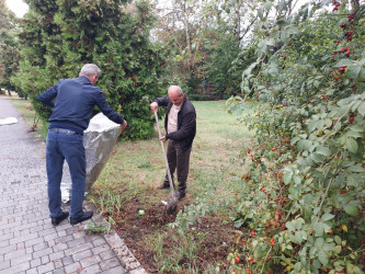 На территории Габалинского района в рамках «Года Конституции и Суверенитета» состоялся очередной общерайонный субботник.