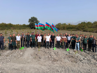 27 sentyabr – Anım günü ilə əlaqədar Qəbələ rayonunda ağacəkmə aksiyası davam etdirilir