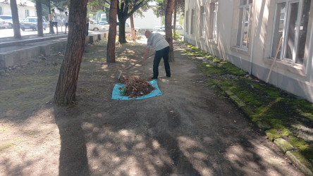 Qəbələdə “Şəhərsalma və Memarlıq ili” çərcivəsində növbəti ümumrayon iməciliyi keçirilmişdir