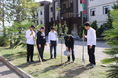 27 sentyabr – Anım günü ilə əlaqədar Qəbələ rayonunda ağacəkmə aksiyası davam etdirilir