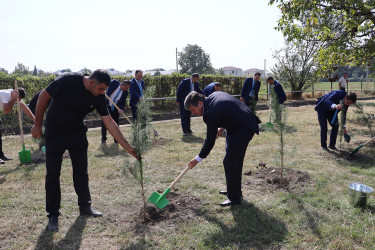 27 Sentyabr – “Anım Günü” ilə əlaqədar ağacəkmə aksiyasına başlanılmışdır