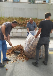 “Yaşıl dünya naminə həmrəylik ili” çərcivəsində növbəti dəfə ümumrayon iməciliyi keçirilib