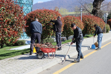 Qəbələ şəhərində “Şəhərsalma və Memarlıq ili” çərçivəsində növbəti  iməcilik keçirilmişdir
