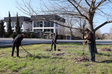Qəbələ şəhərində “Şəhərsalma və Memarlıq ili” çərçivəsində növbəti  iməcilik keçirilmişdir