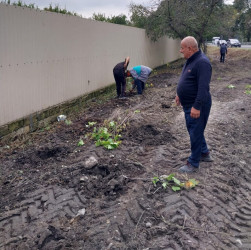 Qəbələ rayonunda “Yaşıl Dünya Naminə Həmrəylik ili” ilə əlaqədar ağacəkmə aksiyası keçirilmişdir