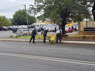 На территории Габалинского района в рамках «Года Конституции и Суверенитета» состоялся очередной общерайонный субботник.