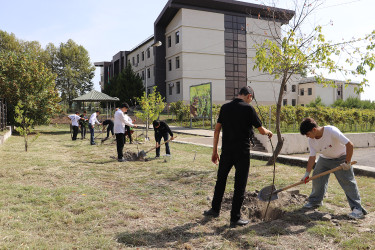 27 sentyabr – Anım günü ilə əlaqədar Qəbələ rayonunda ağacəkmə aksiyası davam etdirilir