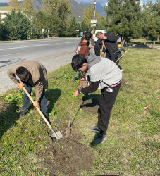 Yaşıl dünya naminə həmrəylik ili çərçivəsində ağacəkmə aksiyası keçirilib