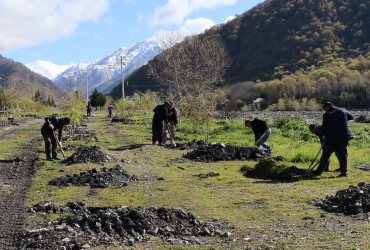 “Şəhərsalma və Memarlıq ili” ilə əlaqədar Qəbələ rayonu ərazisində ağacəkmə aksiyası davam etdirilir