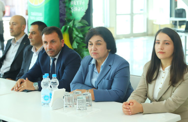 Qəbələ rayonunda aztəminatlı ailələrin övladlarına məktəbli forması və dərs ləvazimatları paylanmışdır