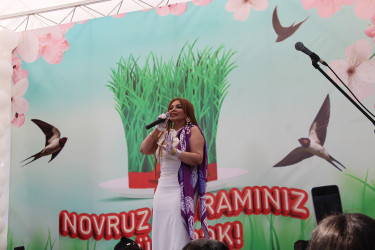 Qəbələdə Novruz şənliyi keçirilmişdir