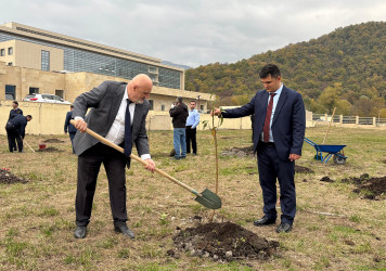 Qəbələ RMX PHŞ-də “8 Noyabr - Zəfər Günü”nə həsr olunmuş ağacəkmə aksiyası keçirilmişdir