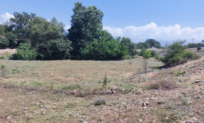 Qəbələdə keçirilən növbəti monirtorinqlər zamanı qanunsuz torpaq zəbtlərinin qarşısı alınmışdır