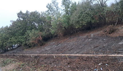  “Şəhərsalma və Memarlıq ili” çərcivəsində Qəbələdə ümumrayon iməciliyi davam etdirilir