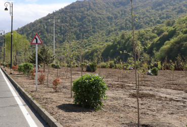 “Şəhərsalma və Memarlıq ili” ilə əlaqədar Qəbələ rayonu ərazisində ağacəkmə aksiyası davam edir