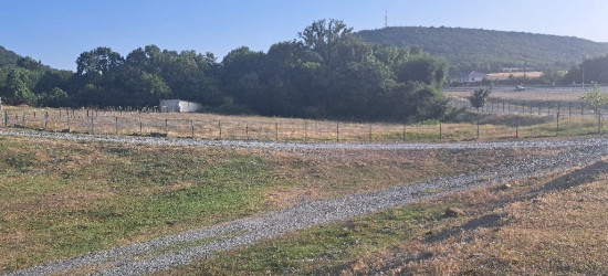 Qəbələdə keçirilən növbəti monirtorinqlər zamanı qanunsuz torpaq zəbtlərinin qarşısı alınmışdır