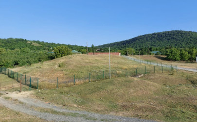 Qəbələdə keçirilən növbəti monirtorinqlər zamanı qanunsuz torpaq zəbtlərinin qarşısı alınmışdır