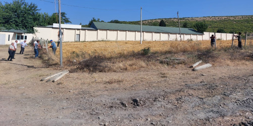 Qəbələdə keçirilən növbəti monirtorinqlər zamanı qanunsuz torpaq zəbtlərinin qarşısı alınmışdır