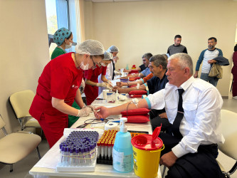 Qəbələdə növbəti dəfə qanvermə aksiyası keçirilib