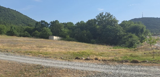 Qəbələdə keçirilən növbəti monirtorinqlər zamanı qanunsuz torpaq zəbtlərinin qarşısı alınmışdır