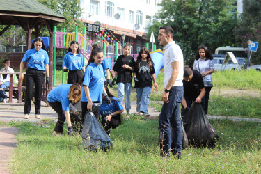 Qəbələ şəhərində “Yaşıl dünya naminə həmrəylik ili” çərçivəsində "Təmiz Ölkəm" adlı aksiya keçirilmişdir